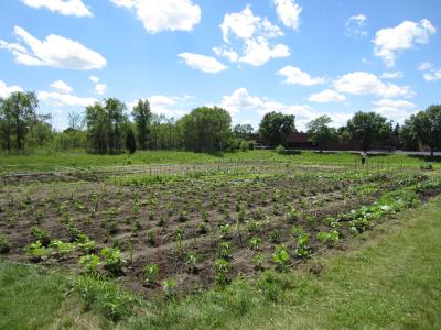 APG Cash Drawer's Garden