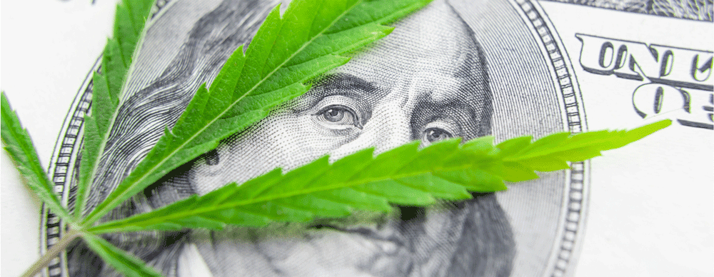 Cannabis is a cash-dominated industry